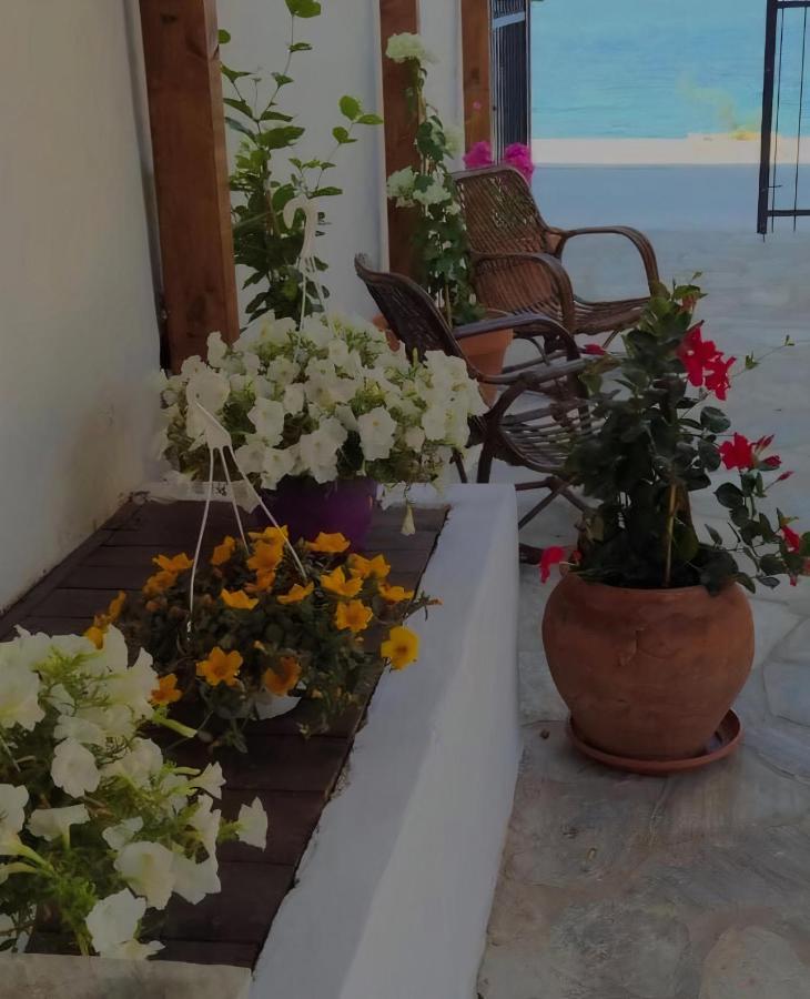 Grand Boutique Studios Áfissos Exteriér fotografie